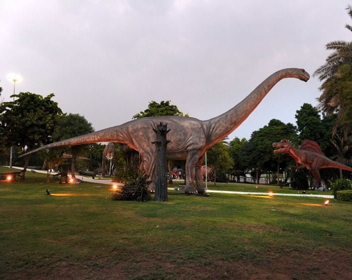 Dinasour Park1