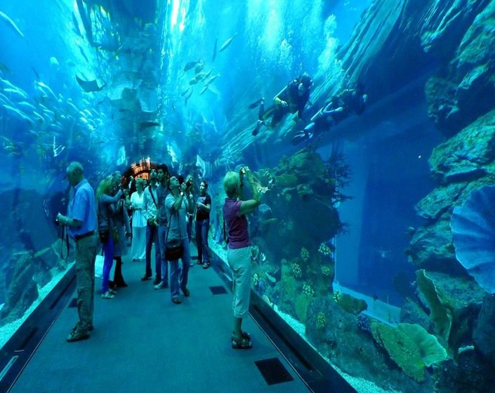 Dubai Aquarium1