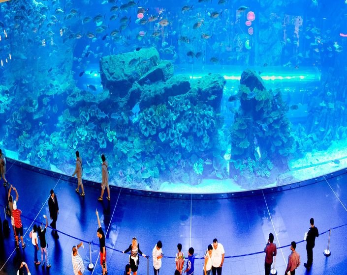 Dubai Aquarium2